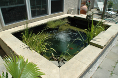 Sankey Pools (JSAquatics)  - Fish Pond